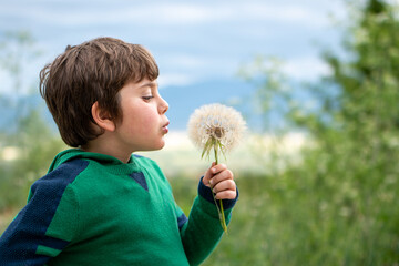 A young child gently blows on a giant white dandelion in a scenic green landscape.. 