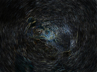 abstract photo of a toad, with circular blur