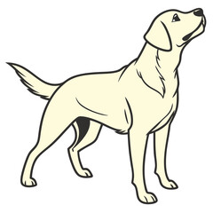 White Labrador Dog - Loyal Pet Illustration