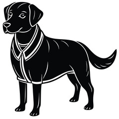 Black Labrador in Coat - Stylized Dog Illustration