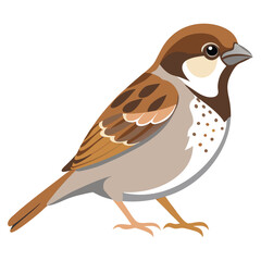 Isolated brown quail or blackbird on a branch with detailed feathers and a striking beak, perfect for nature and wildlife themes