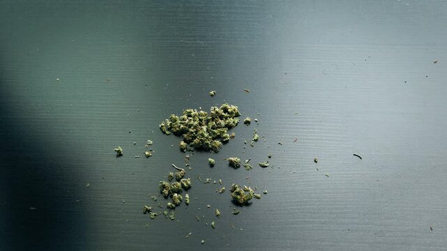 Male hands filling a rolling paper with marijuana, in preparation of a joint.