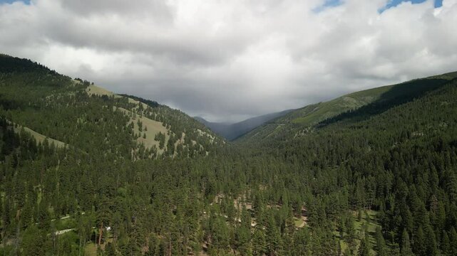Aerial of mountains in Bitterroot National Forest in Montana in summer