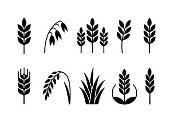 Agriculture, farming silhouette icon set. harvest, plant symbols collection