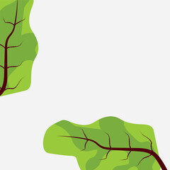 A bold vector design of beet leaves with vibrant green tones and deep red veins on a clean white background. Ideal for food branding, organic product packaging, or decorative kitchen prints.