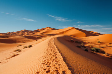 Naklejka premium Scenic desert sands: expansive desert dunes and blue sky