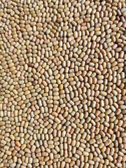 lentils