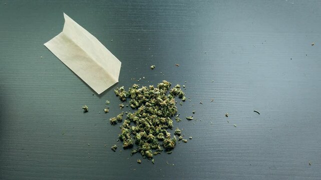 Male hands filling a rolling paper with cannabis marijuana, in preparation of a joint.