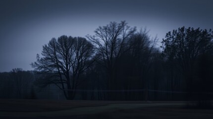 Dark Forest Silhouette: An artistic silhouette of a tranquil forest scene at dusk, where nature's beauty unfolds under a deep, mysterious sky.