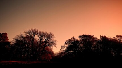 Silhouette of Trees at Dusk: Captivating silhouette of trees against the backdrop of a fiery sunset, where the sky is painted with vibrant hues, casting a dramatic shadow. 