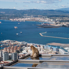 View of Algeciras Bay from the top of the Rock of Gibraltar