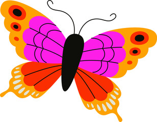 Colorful Butterfly with Patterned Wings