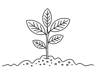 Black Outline Plant Growing in Soil sprout seedling