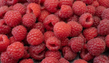 Fresh Organic Raspberries Close-Up. Natural Red Berries Background.