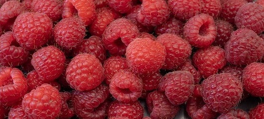 Fresh Organic Raspberries Close-Up. Natural Red Berries Background.