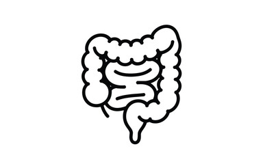 Stylized outline icon of the human intestines on a white background