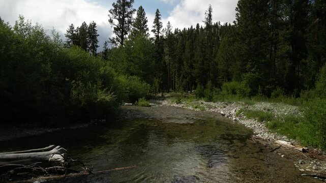 Low aerial over Overwich Creek in Bitterroot Mountain Range in Montana in summer