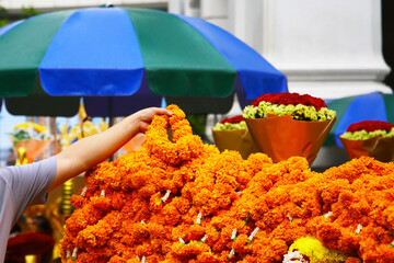 A tourist’s hand placing marigold garlands as an offering for blessings at the Erawan Shrine in...