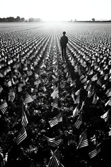 Field of Flags Memorial Day Monochrome Remembrance Reflection