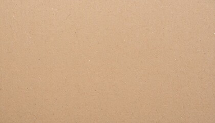 Fototapeta premium Close Up Neutral Cardboard Texture