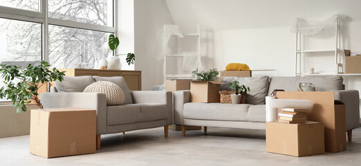 Cardboard boxes with grey sofas, shelving units and houseplants in living room on moving day