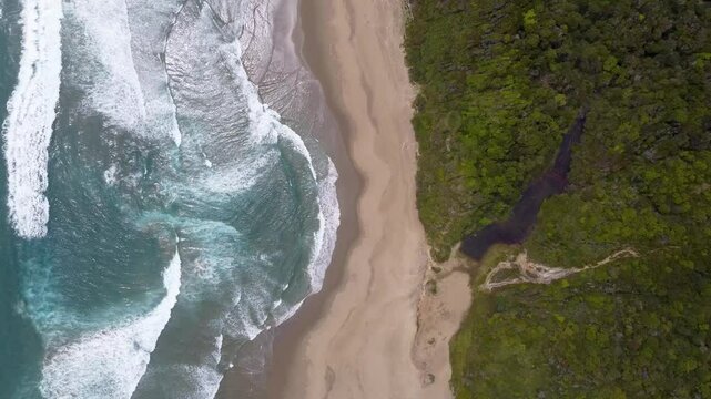 Top-down drone view of waves crashing on Rada Ranu beach with lush forest and winding stream in southern Chile &ndash; wild coastal beauty from above