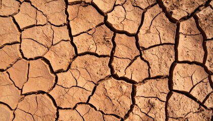 Cracked Earth Texture