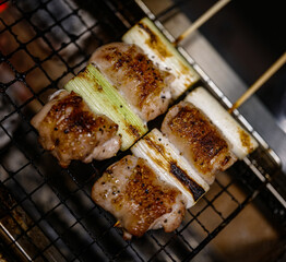 grilled meat on the grill