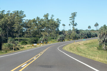 Paisaje natural en ruta con curva