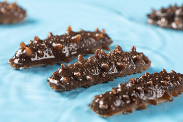 Raw sea cucumber trepang in water.