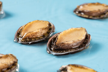 fresh raw abalones in water.