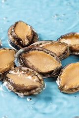 fresh raw abalones in water.