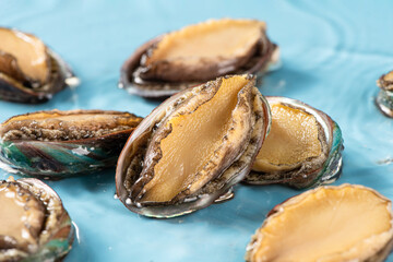 fresh raw abalones in water.