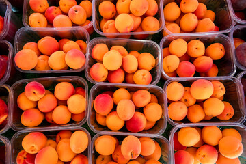 Fresh apricots summer fruits in plastic trays, outdoor market
