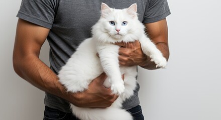 Man Holds White Fur Blue Eyes Cat Isolated on White Background