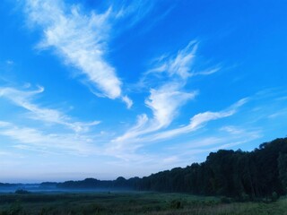 Fototapeta premium Blue Sky with Unique Cloud Formations Over Green Landscape