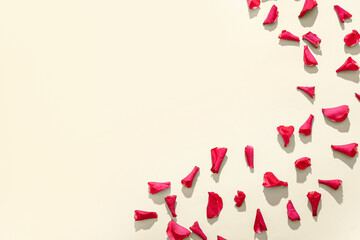 Many beautiful rose petals on beige background