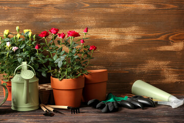Beautiful roses in pots and gardening supplies on table against wooden background