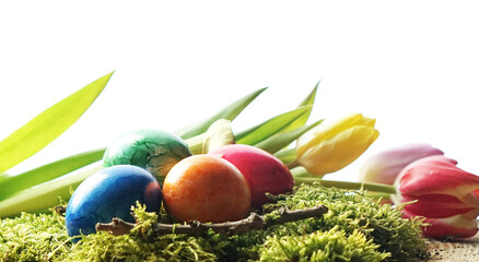  easter eggs with tulips on mossy surface in springtime scene