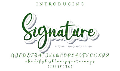 Signature Font – Stylish Script Typeface with Bold Modern Brush Lettering
