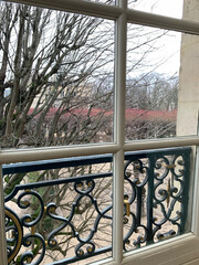 bare winter trees outside an old window with cast iron bars