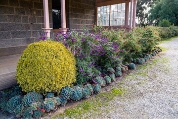 Beautifully landscaped, low-maintenance, drought-tolerant garden bed in front of an old rustic...