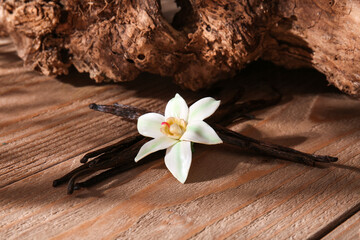 Vanilla sticks and flower on wooden background