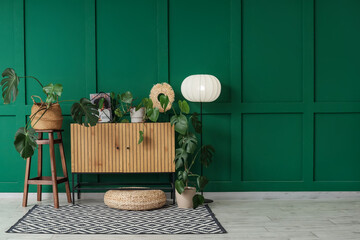 Interior of living room with Monstera plants, commode and lamp