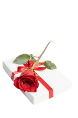 Red Rose and gift box