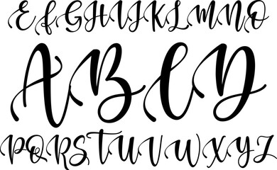 Stylish uppercase calligraphy script font with flourishes. Perfect for invitations, branding, wedding design, and more.