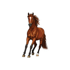 Obraz premium Horse running illustration animal art vector, Horse poses. Wild horses walking or gallop running pose, arabian mare farm animal hoof gait trotter run grazing thoroughbred appaloosa