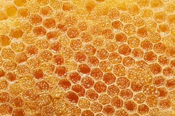 Close-up view of honeycomb filled with honey, showcasing its intricate hexagonal cells