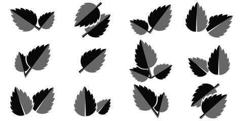 Unique black leaves icon collection isolated on white background. eps 10
