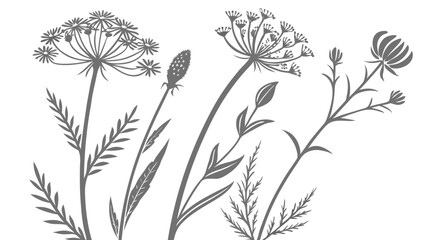 Obraz premium Vintage Wildflower Botanical Sketches – Hand-Drawn Floral Silhouettes